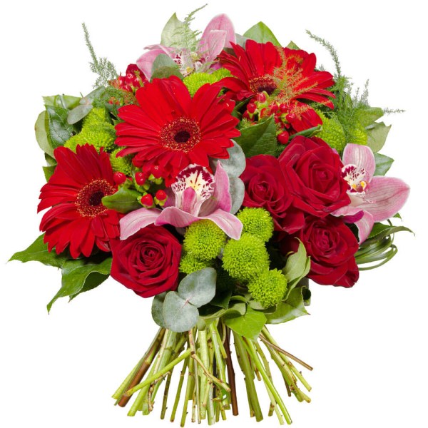 💖 La Saint-Valentin ? C’est dans 4 jours ! Laissez parler vos sentiments avec le bouquet fidelio absolu 🌹

Un bouquet élégant et intense pour dire « je t’aime » avec des fleurs.

À partir de 45,90 €
Préparé et livré par Florajet 💐

Sublimez la Saint-Valentin avec ce bouquet d’exception à découvrir sur Bloomyrama 👉 lien en bio 💖

#bouquetdefleurs #livraisonfleurs #bloomyrama #comparateurdefleurs #fleuristes #florajet #saintvalentin #amour #fleursdesaison