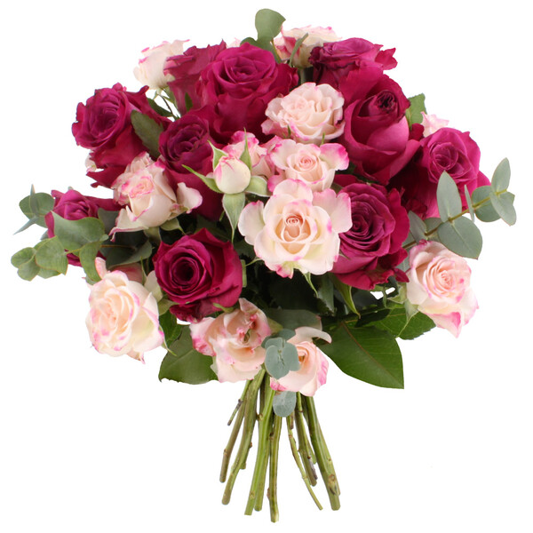 🌸 Un bouquet délicat qui éveille les sens et fait passer les plus beaux messages.
Le bouquet Fragance charme par son élégance et sa douceur florale, une attention idéale pour surprendre et émouvoir 💐✨

À partir de 32,90 €
Préparé et livré par Florajet 🌷

Laissez-vous séduire par ce bouquet raffiné à découvrir sur Bloomyrama 👉 lien en bio 🌸

#bouquetdefleurs #livraisonfleurs #bloomyrama #comparateurdefleurs #fleuristes #florajet #fleursdesaison #ideecadeau