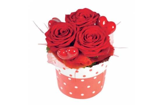 Craquez pour la Composition Roméo, une attention pleine de tendresse pour la Saint-Valentin ❤️

Romantique et délicate, la Composition Roméo est idéale pour déclarer vos sentiments avec élégance… sans vous ruiner 💘 Une composition pas chère pour la Saint-Valentin qui fera toujours son effet.

À partir de 34,00 € - 
Préparée et livrée par Agitateur Floral.

Faites battre son cœur avec la Composition Roméo et découvrez-la sur Bloomyrama 👉 lien en bio. 💕

#livraisonfleurs #bloomyrama #comparateurdefleurs #fleuristes #agitateurfloral #saintvalentin #compositionfleurie