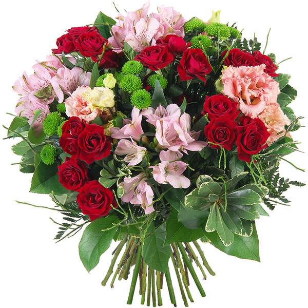 Le bouquet Lya est une valeur sûre pour offrir une attention florale pleine de fraîcheur et de charme 💐

À partir de 51,90 €
Préparé et livré par Florajet 🌸

Retrouvez ce bouquet ici : 👉 https://www.bloomyrama.com/produit/lya

#bouquetdefleurs #livraisonfleurs #bloomyrama #comparateurdefleurs #fleuristes #florajet #fleursdesaison #ideecadeau