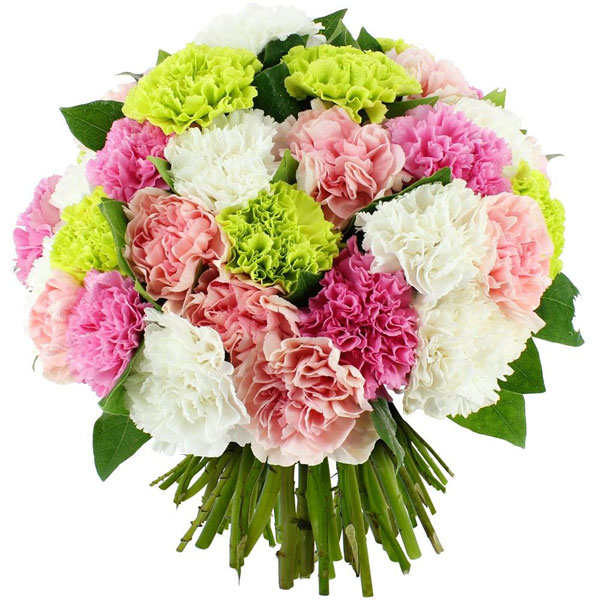 🌼 Un bouquet d’œillets roses plein de douceur.

Le bouquet Mignon séduit par sa fraîcheur et son esprit délicat, parfait pour faire plaisir simplement 💐

À partir de 51,90 €
Préparé et livré par Florajet 🌸

Un bouquet plein de fraîcheur à découvrir sur Bloomyrama 👉 lien en bio 🌼

#bouquetdefleurs #livraisonfleurs #bloomyrama #comparateurdefleurs #fleuristes #florajet #fleursdesaison