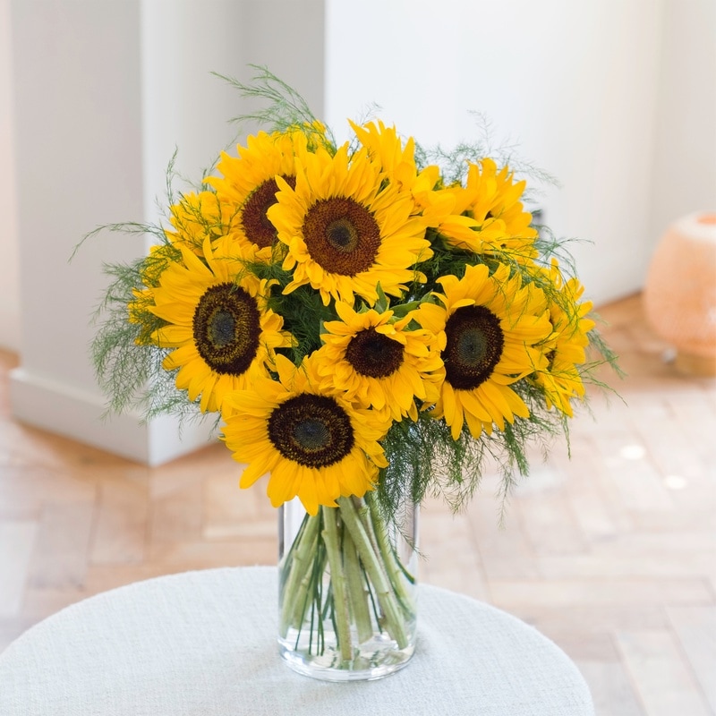 🌻 Toujours un hit en été, la Brassée de tournesols apporte un air de campagne et le soleil des champs jusque dans votre maison ! Une création lumineuse qui illumine toutes les occasions. ☀️

À partir de 37,95 €.

Préparée et livrée par Interflora.

Faites entrer le soleil chez vous avec cette brassée de tournesols 🌻 Retrouvez ce bouquet au meilleur prix sur Bloomyrama 👉 lien en bio.

#bouquetdefleurs #livraisonfleurs #bloomyrama #comparateurdefleurs #fleuristes #interflora #fleursdesaison #tournesols