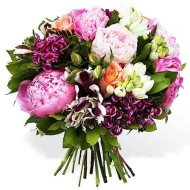 Câlin, un bouquet tout en douceur pour transmettre une belle attention avec élégance 🌸

À partir de 39,00 €
Préparé et livré par L’Agitateur Floral.

Retrouvez ce bouquet plein de douceur sur Bloomyrama 👉 lien en bio.

#bouquetdefleurs #livraisonfleurs #bloomyrama #comparateurdefleurs #fleuristes #lagitateurfloral #fleursdesaison