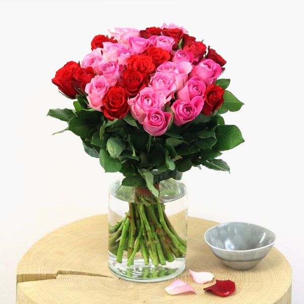🌹 20, 40 ou 60 tiges… Faites livrer une brassée de roses ! ❤️🌸
Rouge passion ❤️ ou rose tendresse 💗 ? Pourquoi choisir quand on peut offrir les deux ?

Craquez pour cette magnifique brassée de roses rouges et roses proposée par Interflora, issues du commerce équitable et labellisées Fairtrade/Max Havelaar. 🌹

À partir de 27,95 €, choisissez votre brassée de 20, 40 ou 60 tiges
pour faire plaisir à ceux que vous aimez !

🔎 Retrouvez cette offre sur bloomyrama - Lien en bio.

#BouquetDeRoses #RosesRouges #livraisonfleurs #bloomyrama #comparateurdefleurs #Interflora