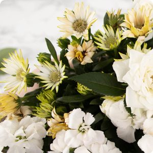 Composition de plantes fleuries blanches vannerie livraison 123fleurs comparaison bloomyrama