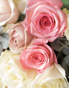 bouquet de roses pastel livraison Monsieur marguerite comparaison bloomyrama