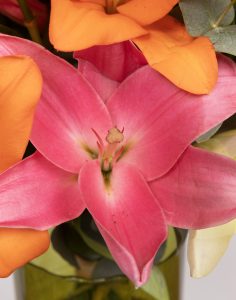 bouquet de lys multicolore tons chauds Monsieur marguerite comparateur bloomyrama