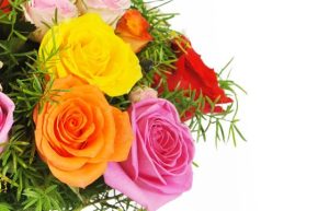 Roses multicolores bouquet rond agitateur floral comparaison de fleurs bloomyrama