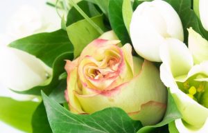 Bouquet boucle rose Agitateur floral bloomyrama comparaison de fleurs