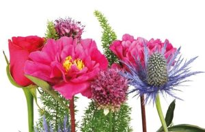 Composition florale livraison agitateur floral comparaison fleurs bloomyrama