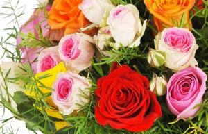 Roses multicolores bouquet rond agitateur floral comparateur de fleurs bloomyrama