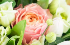 Bouquet boucle rose Agitateur floral bloomyrama comparatif de fleurs
