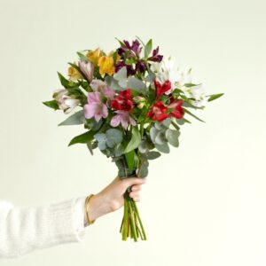 Bouquet d’alstromerias multicolores livraison Interflora comparateur de fleurs bloomyrama