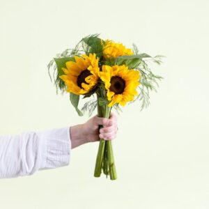 Petite brassée de tournesols jaunes et verts Interflora disponible sur le comparateur bloomyrama