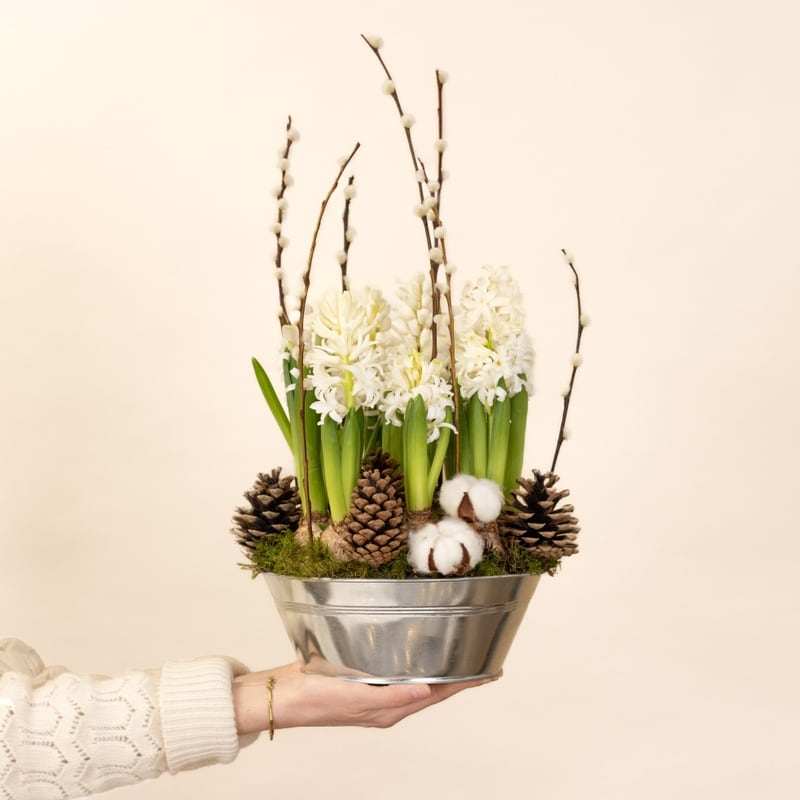 coupe jacinthes blanches livraison rapide interflora comparateur de fleurs bloomyrama
