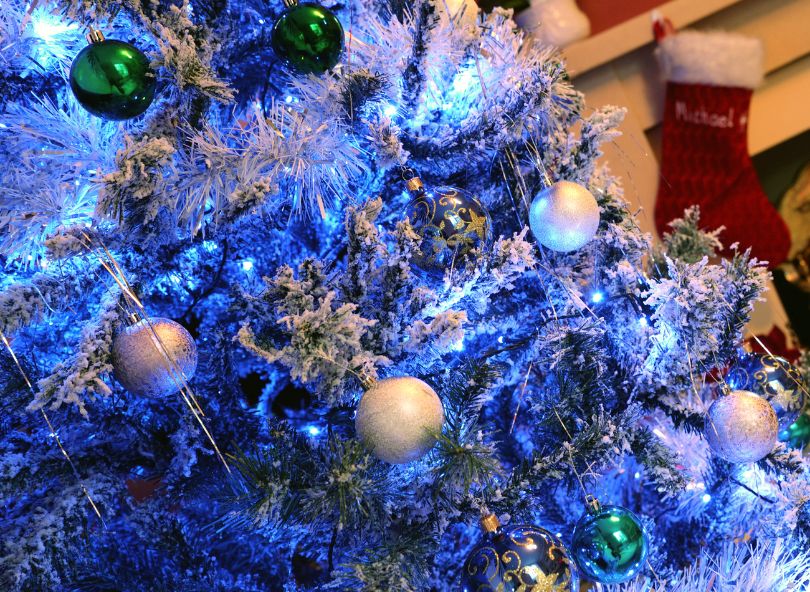 Sapin de noël bleu livraison domicile comparateur bloomyrama