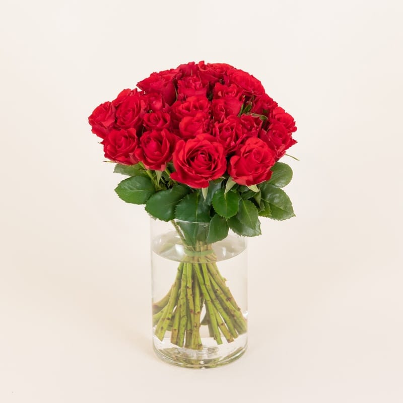 Brassee de roses rouges petits boutons equitables Interflora disponible sur le comparateur bloomyrama