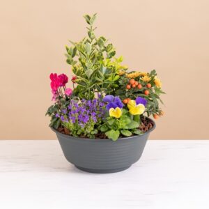 Composition deuil chrysanthèmes jaunes orange rouges Interflora disponible sur le comparateur bloomyrama