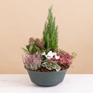 Composition funeraire rosier bruyere cineraire Interflora disponible sur le comparateur bloomyrama