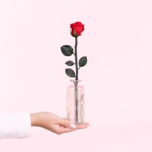 rose étarnelle rouge soliflore en verre interflora bloomyrama