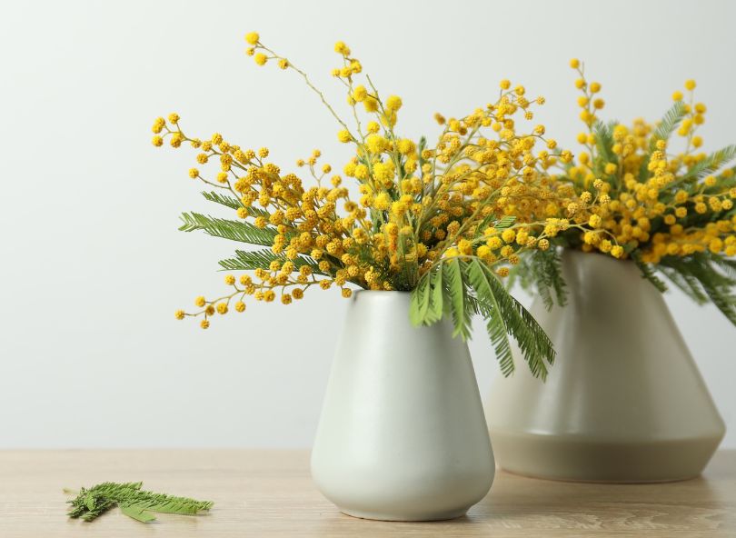 mimosa vase beigecomparateur de fleurs bloomyrama
