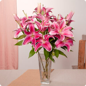 Bouquet de Lys Roses avec 7 à 8 tiges de lys orientaux roses et feuillage vert sur le comparateur de fleurs Bloomyrama