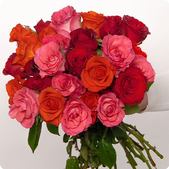 Bouquet Roses d’Amour livré par 123fleurs roses rouges roses orangées fuchsia feuillage optionnel vu sur le comparateur bloomyrama