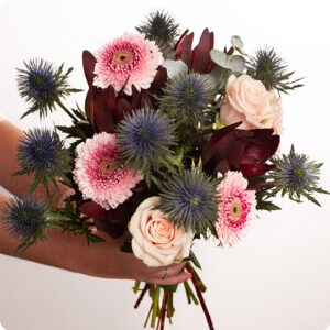 Bouquet Volupté livré par 123fleurs roses pastel germinis rose chardon bleu eucalyptus bouquet contrasté vu sur bloomyrama