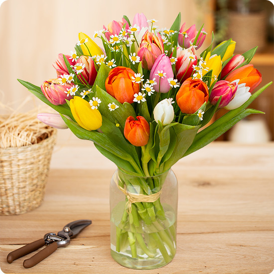 Bouquet de tulipes multicolores et camomilles, une création printanière éclatante trouvée sur bloomyrama