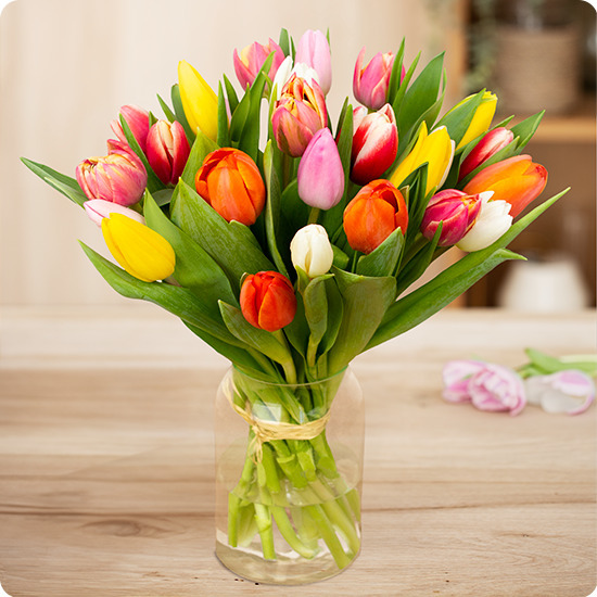 Bouquet de tulipes multicolores, une brassée lumineuse et éclatante aux couleurs du printemps trouvée sur bloomyrama