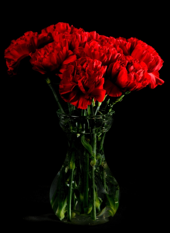 œillets rouges dans vase transparent