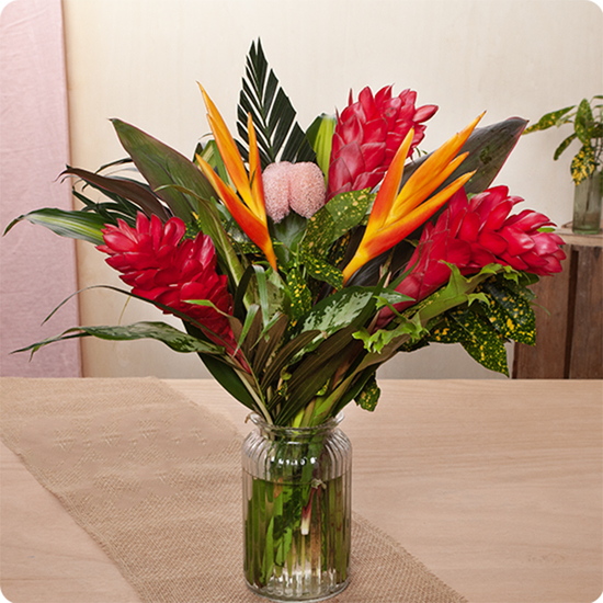 Bouquet gingers rouges et fleurs oiseau du paradis avec feuillage tropical livré par 123fleurs vu sur le comparateur bloomyrama