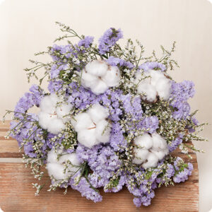 Bouquet Éternel en fleurs séchées coton statice violet limonium blanc livré par 123fleurs vu sur le comparateur de fleurs bloomyrama