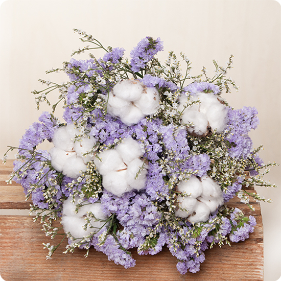 Bouquet Éternel en fleurs séchées coton statice violet limonium blanc livré par 123fleurs vu sur le comparateur de fleurs bloomyrama