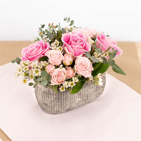 Composition Rosa bouquet délicat de roses roses wax et eucalyptus 123fleurs disponible sur bloomyrama