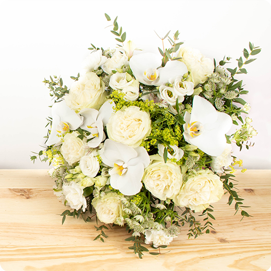 Bouquet Harmonie orchidées et roses blanches livré par 123fleurs fleurs de saison blanches proposé sur le comparateur de fleurs bloomyrama