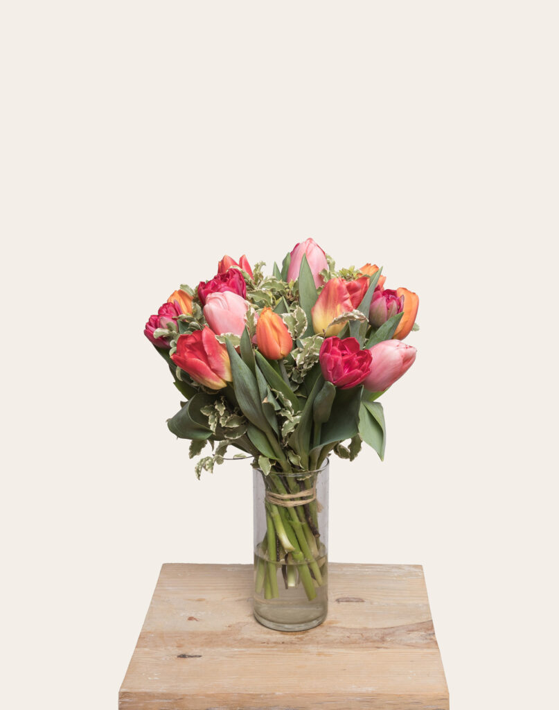 Bouquet de tulipes multicolores disponible en 2 tailles Monsieur Marguerite comparaison de fleurs bloomyrama