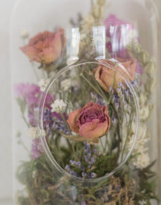 Bouteille fleurs séchées Monsieur Marguerite comparateur de fleurs bloomyrama