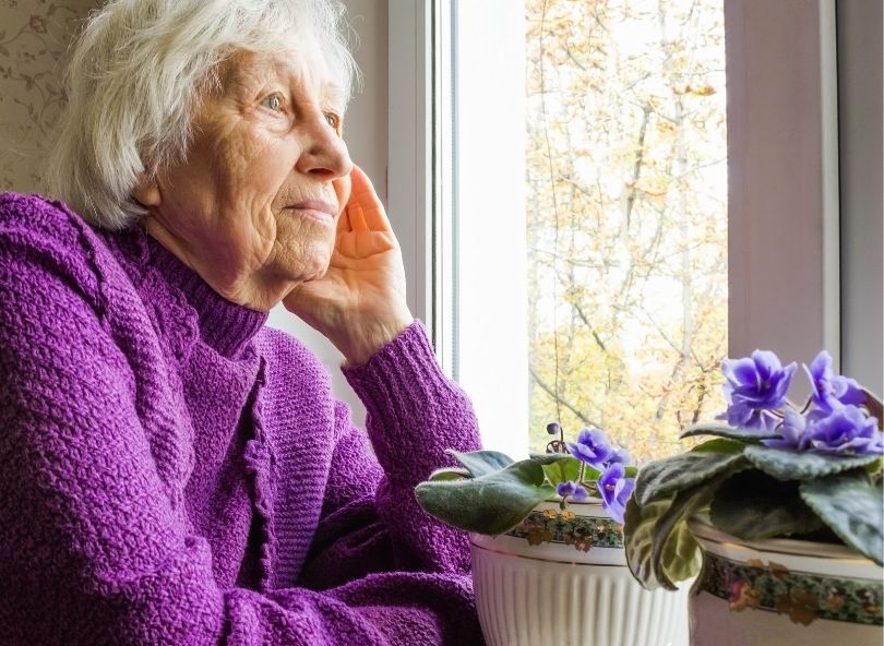 bloomyrama offrir une plante fleurie anniversaire 80 ans