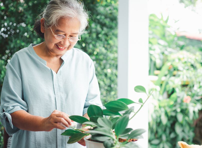 bloomyrama offrir une plante anniversaire 80 ans