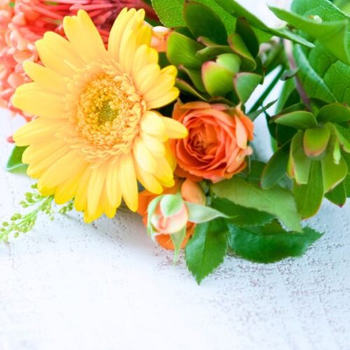 Fleurs et petits budgets : 10 astuces pour (s’) offrir des fleurs sans se ruiner
