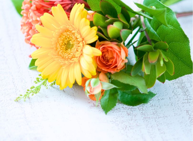 Bouquet de fleurs comparateur bloomyrama