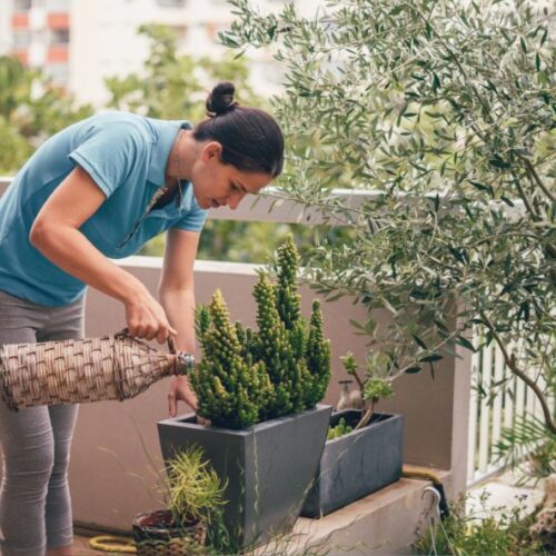 Faut-il parler à ses plantes ?