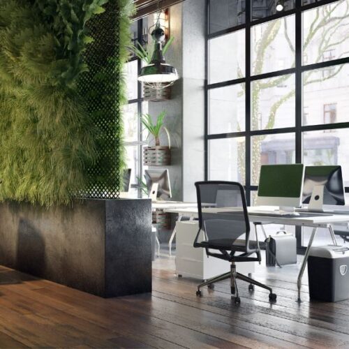 Quelle plante pour un bureau ?