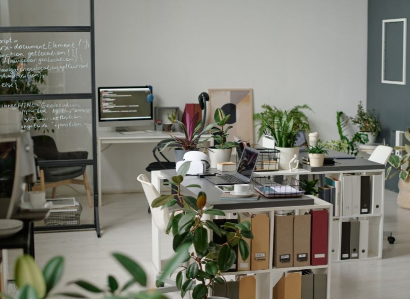 plantes vertes dans un bureau comparaison sur bloomyrama