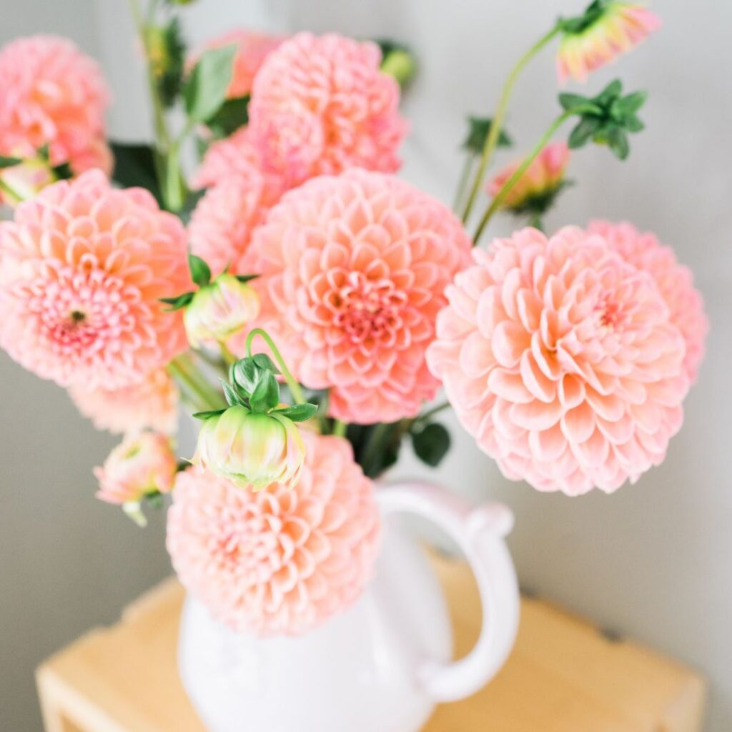dahlia bouquet vase comparateur de fleurs bloomyrama