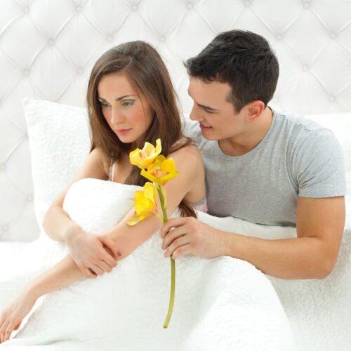 Quelles fleurs offrir pour s’excuser ?