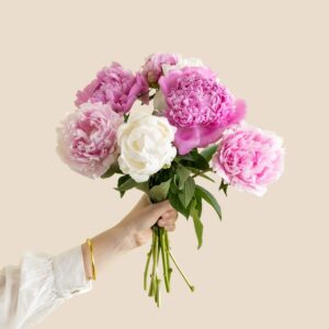 bouquet de pivoines roses fraîches vu sur le comparateur bloomyrama interflora