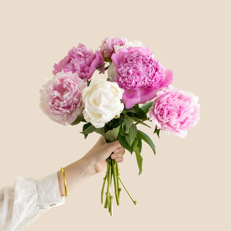 bouquet de pivoines roses fraîches vu sur le comparateur bloomyrama interflora