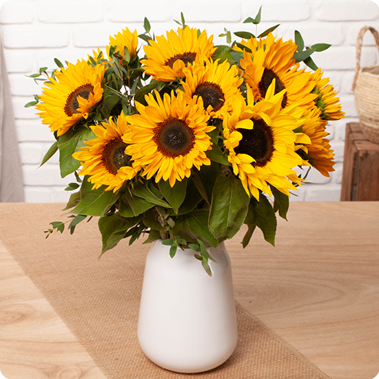 brassée de tournesols 123fleurs disponible sur le comparateur bloomyrama